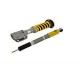 Kit Suspensions Ohlins Honda Civic R